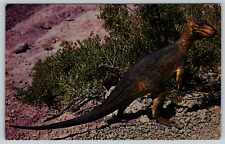 c1960s Model of Antrodemus Dinosaur Utah Colorado Monument Vintage Postcard picture