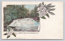 Paradise Falls Pocono Mountains Pennsylvania c1907 Antique Postcard picture