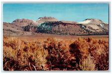 Mono County California CA Postcard Mono Craters Scenic View c1960 Volcanic Cones picture