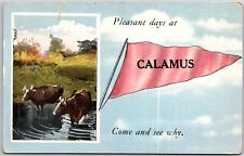 1922 Pleasant Days At Calamus 