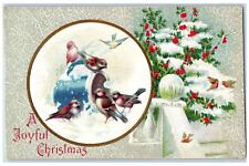 c1910's Christmas Birds Winter Snow Holly Berries Winsch Back Embossed Postcard picture