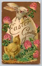 c1910 Fantasy Rabbit Hatching From Egg Chick Looks Mums Easter Greetings P176A picture
