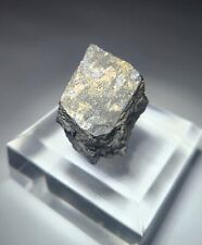 ***NEAT-Scarce Columbite crystal specimen, TN mine Golden Colorado*** picture