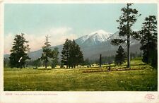 UDBK Postcard AZ L354 San Francisco Mountains Arizona Detroit Publishing ca1906 picture