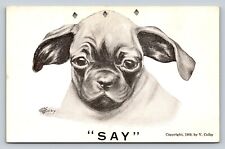 1909 Cute Dog Drawing Print By Vincent V. Colby ANTIQUE Postcard picture