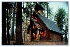 c1960's Chapel in the Pines Hartwick Pines State Park Frederic MI Postcard picture