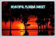 Beautiful Florida Sunset Vintage FL Postcard View AA12 picture