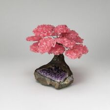 Large - Rose Quartz Clustered Gemstone Tree on Amethyst Matrix (The Love Tree) picture