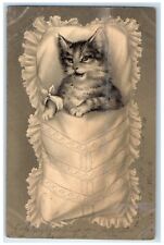 c1910's Cute Cat Kitten Animals Embossed Posted Antique Postcard picture
