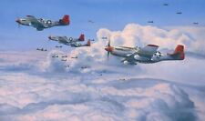Fighting Red Tails by Robert Taylor signed by Charles McGee and Tuskegee Airmen picture