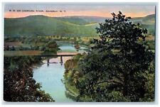 c1910 RR Chemung River Bridge Exterior Waverly New York Vintage Antique Postcard picture