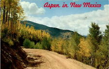 Aspen trees, New Mexico, fall, natural beauty, stunning autumn Postcard picture