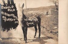 WINSTED, CT ~ POSED IMAGE OF HORSE, COMIC TITLE, DEMARS REAL PHOTO PC ~ 1910s picture