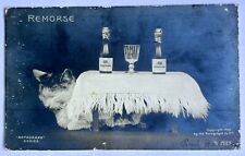 RPPC Rotograph Remorse Vintage Cat Postcard With Champagne. 1906. picture