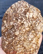 Another Amazing Rough Natural Cryptocrystaline Conglomerate picture