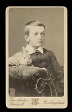 Boy Holding His Pet Rabbit Antique CDV Photo England Antique Photograph Uk 1800s picture