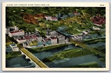Elmira New York~City & Chemung River Aerial View~Bridge~1920s Postcard picture