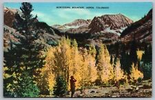Montezuma Mountain Aspen Colorado Birds Eye View Forest Linen Vintage Postcard picture
