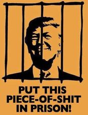 Anti Trump Put This Piece-of-S**t In Jail Democrat Round Button Pin 2 1/4” picture
