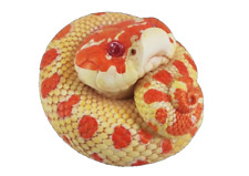 【In-Stock】 Animal Heavenly Body Extreme Red Hognose Collectible Snake Statue picture