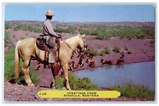 1960 Greetings From Cowboy Horse Lake Rembrant Missoula Montana Vintage Postcard picture