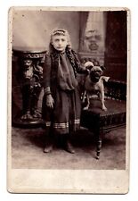 CIRCA 1890s CABINET CARD POST CUTE LITTLE GIRL WITH PUG DENVER COLORADO picture