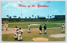c1960s~Fort Lauderdale FL~New York Yankees Baseball Stadium~Vintage Postcard picture