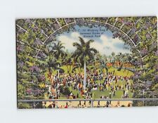 Postcard Walking Ring between Races at Hialeah Park Florida USA picture