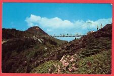 Vintage Postcard Mile High Swinging Bridge Grandfather Mountain North Carolina picture