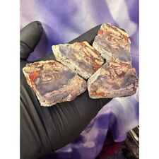 4 pc Moroccan Agate Nodule Cut and Polished (AG22) picture