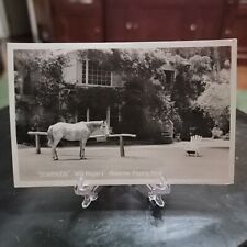 VTG Real Photo Postcard RPPC Soapsuds Will Roger's Horse Western Americana West picture
