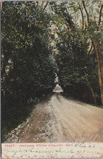 Annisquam Willows Gloucester Massachusetts 1907 Dirt Road Bicycle Postcard UDB picture