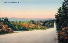 USA Road From Narrowsburg Vintage Postcard 07.93 picture