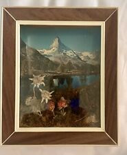 Floralp Tyrol Austrian Vintage Alpine Diorama Landscape Dried Flowers 3D Box Art picture