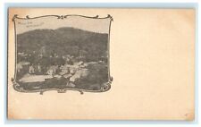 c1900 View Of Mount Tom Woodstock Vermont VT Antique Private Mailing Postcard   picture