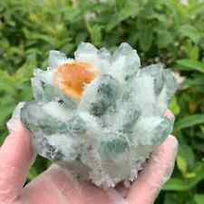 300g+New find Green Yellow Phantom Quartz Crystal Cluster Mineral Specimen Gem picture