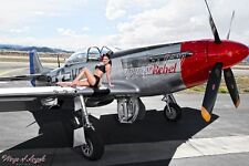 Wings of Angels Hot Little Rebel WWII P-51D Mustang Malak picture
