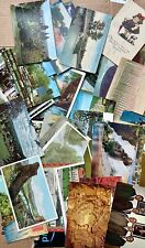 Vintage Postcards Lot of 50 + A Few Extra. White Border. Chrome. Linen. Nice Mix picture