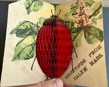 Vintage letter card. Ladybug. Greetings from Salem, Massachusetts early 1900s. picture