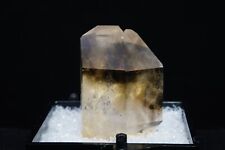 Fenster Smoky Quartz Crystal / 3.4cm Mineral Specimen / Erongo Mountains, Namibi picture
