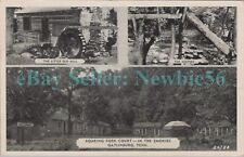 Gatlinburg Tenn TN - ROARING FORK ROADSIDE CABINS - Dexter Press Postcard picture