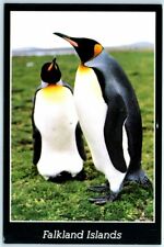 Postcard - King Penguins picture