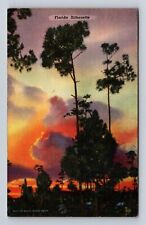 FL-Florida, Silhouette of Sunset Through Trees, Vintage c1949 Souvenir Postcard picture