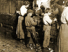 1913 Young Boys Shucking Oysters, SC Old Photo 8.5