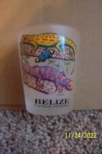 Belize Souvenir Shot Glass picture