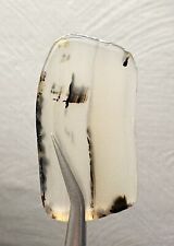 Cool Old Stock Polished Montana Moss Agate Slab Grandpa’s collection 1960’s picture