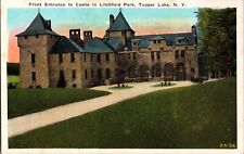 TUPPER LAKE NEW YORK NY Litchfield Park Castle Front Enterance FRANKLIN Postcard picture