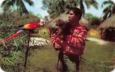 Miami Florida, Musa Isle Seminole Indian Scarlet Macaw Monkey, Vintage Postcard picture