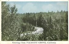 1920s Postcard; Greetings from Pleasant Grove CA Sutter County Used Unposted picture