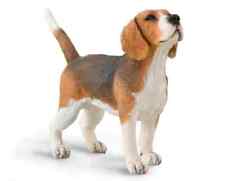 CollectA NEW * Beagle * 88935 Dog Breyer Figure Toy Replica picture